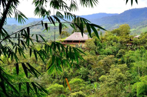 Terrabambu Lodge, Mindo